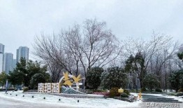 合肥公园爆料事件最新,惊人事件引发社会关注